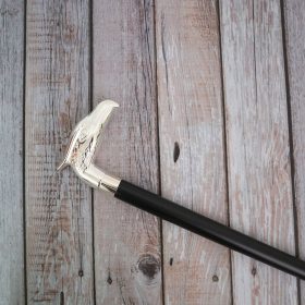 Small Eagle Cane Walking Stick plant