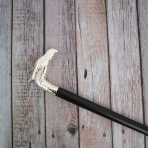 Small Eagle Cane Walking Stick plant