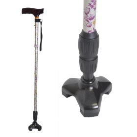 Stand Up walking Canes