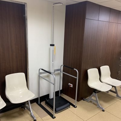 Height and Weight Scale safety handrail