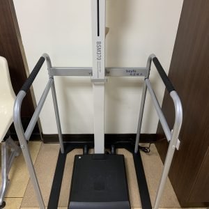 Height and Weight Scale safety handrail