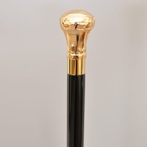 Royal Brass Knob Black Shaft Cane