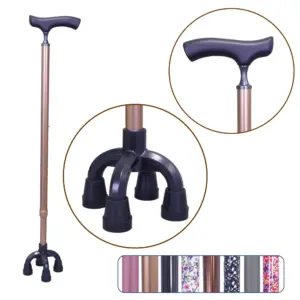 Stand Up Cane
