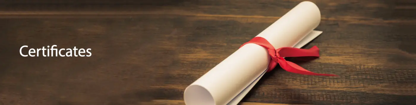 Taiwan Bayfo | Walking Stick Manufacturer 38 Certificates